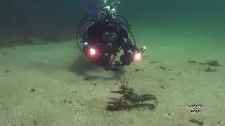 PADI Underwater Videographer Course