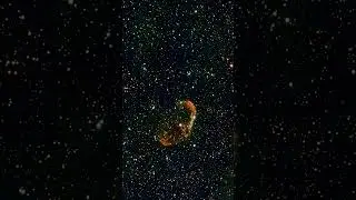 The Space Brain (NGC 6888 / crescent nebula)
