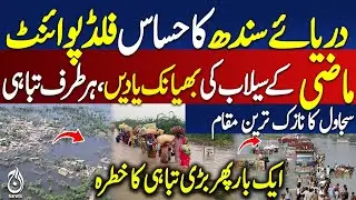 Sujawal Kot Alam Indus River Sensitive Point | Flood in Sindh|  Emergency Issue | Floods