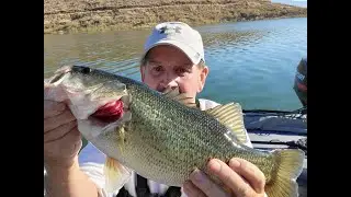 Diamond Valley Lake EP 11 / Best of 2023