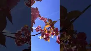 Homebody & Spring Vlog | let's play rune factory 4 special + my cozy life in leiden #shortsyoutube