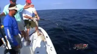 Carolina Fishing TV - Season 2/11 - Mixed Bag Bottom Fishing Fun!
