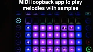 Circuit melodies with samples Part 5: MIDI loopback Lemur App