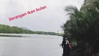 Ultralight Angler- Ikan bulan mengamok boiling hujan #UltralightAngler #GrentiStrike #KenichenNix