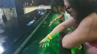 2025 Florida Vacay Highlights 😎