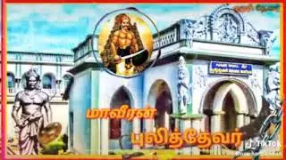 Mamanar Puli Thevar Aranmanai NelkattumSeval