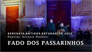 Fado dos Passarinhos | Grupo de Fado Última Luz | Serenata Antigos Estudantes 2025