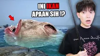 Gua MANCING IKAN di LAUT JEPANG tapi MAKIN MALEM IKANNYA MAKIN ANEH. - Umigari