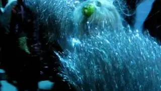 ExtrAction.AVI