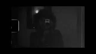 Immortalising The Apparatus - Camille Perry -  Support Material