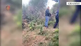 Po vadiste kanabisin, ja si arrestohet 63-vje&ccedil;ari n&euml; Gramsh. Iu gjet edhe&hellip;