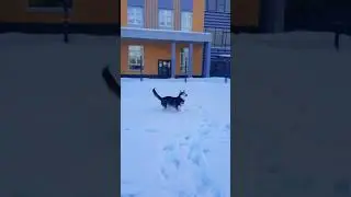 #любовь