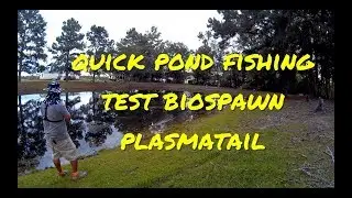 Quick Pond Fishing with Dropshot Rigged BioSpawn PlasmaTail