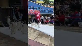 Wow cute competition always make me happy #australia #penguin #singaporedance