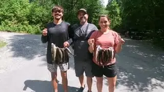 Blue Ridge Mountain trip.. camping, fishing and FUN.. #fishing #camping #trout #blueridge 