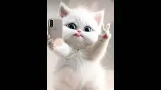 Позитивные котики🐱#relaxingmusic #clipart #midjourney #красивыекартинки #cartooncats #cat #funnycats