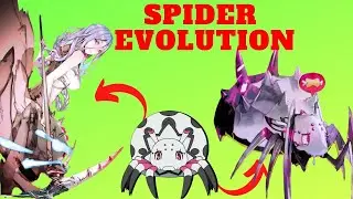 Talking About a Fictional Spider Species! | Kumo Desu Ga Nani Ka? Discussion