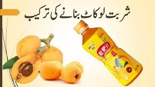 sharbat loquat tarkeeb -home made squash recipe- by sehat tib e nabvi se-