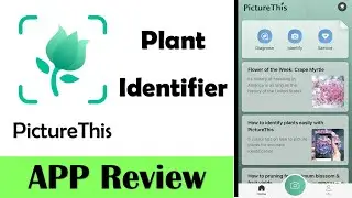 PictureThis - Plant Identifier | App review