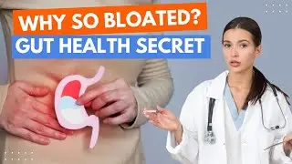 Why You&rsquo;re Always Bloated. How to Get a Flat Stomach & Better Digestion