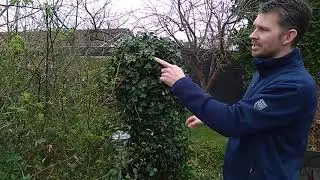 Selvtr&aelig;ning - Pr&aelig;cision