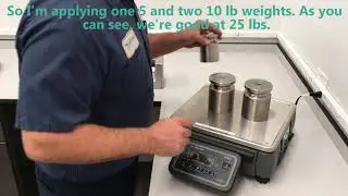 How to Verify a Scale using Test Weights