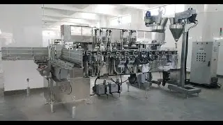 Twin Lane Lined Carton Machine for Spices with Inline Check Weighing