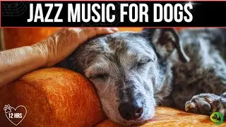 12 Hours of Relaxing Jazz Music for Dogs - Relax & Sleep | Dog Music Therapy