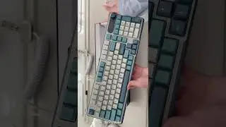 The RK-S98 is like the coolest keyboard in the room! 😎