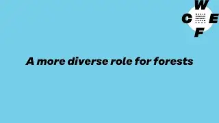 A more diverse role for forests
