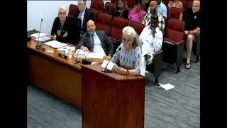 Lake Wales Resident Catherine Price Questions The BizLinc Audit - &ldquo;It&rsquo;s conspicuously not an audit&rdquo;