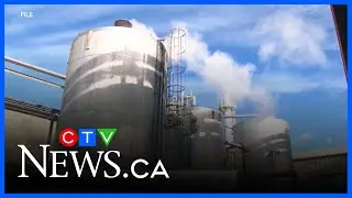 Oil prices expected to remain low in 2026