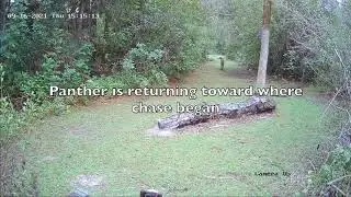 Wilson wildlife 2021