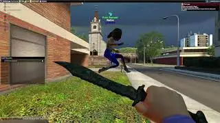 Raid Compilation III | Glosteria Raids Danktown