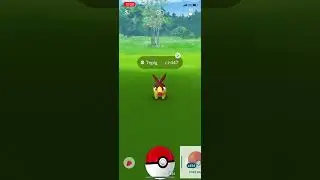 Shiny Tepig Caught From A Field Research Task I Pokemon Go