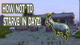 HOW NOT TO STARVE IN DAYZ! GOAT COOKING TUTORIAL #DayZ #lifehack
