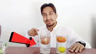 Experiment Salt Water & Potato