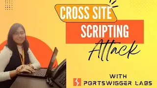 Demystifying XSS: Reflected vs. Stored | Hands-On Portswigger Labs Solved!