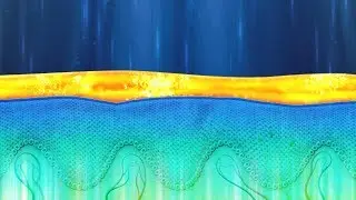 Fluorescent Light Energy (FLE) Technology