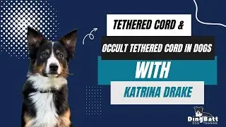 Tethered Cord in Dogs with Katrina Drake