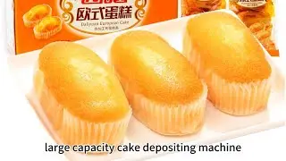 🍰 Elevate Your Baking Game with Our Large Capacity #Cake ProductionLine! 🍰