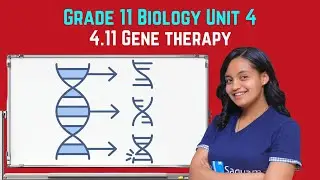Grade 11 Biology Unit 4: 4.11 Gene therapy | Saquama