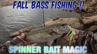 Fall BASS Fishing !! | SPINNERBAIT | ON FIRE |