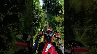 #singletrack #honda #dirtbikeriding #motorcycle #forest #music #crf300l #motovlog #enduro #explore