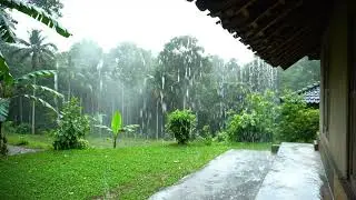 🌧️ 5 Hours Rain Sounds for Sleep, Study & Meditation🌿Calming Daytime Rainfall in Tropical Woods