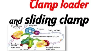 Clamp loader and sliding clamp