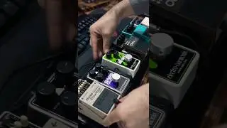 Armando una pedalera compacta con todo lo esencial para cada show 🧑🏻&zwj;🎤 #asmr #bassplayer #pedalboard