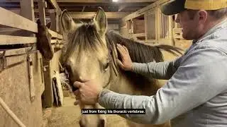 LCAO Student Performs OAB Technique to Diagnose and Treat Somatic Dysfunction
