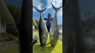 Giant Bluefin Tuna Fishing Off California Coast!