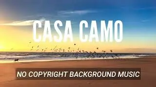 Casa Camo - Skandr | No Copyright Background Music (Safe and Free to Use)